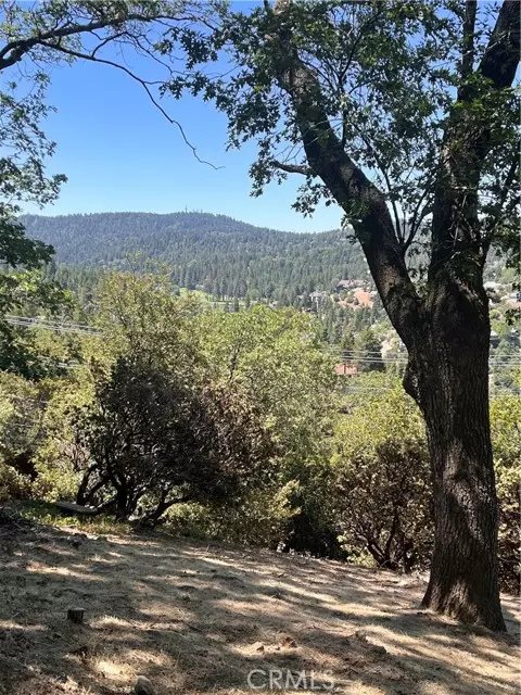 Lake Arrowhead, CA 92352,0 Grass Valley