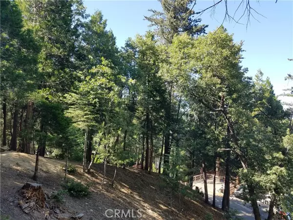 Twin Peaks, CA 92391,0 Boulder