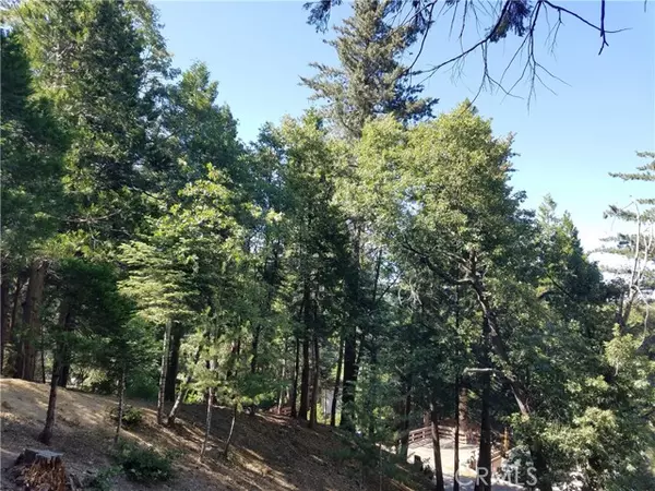 Twin Peaks, CA 92391,0 Boulder