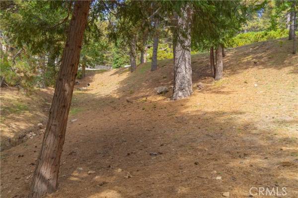 Running Springs, CA 92382,0 Circle View