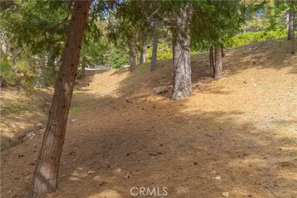 Running Springs, CA 92382,0 Circle View