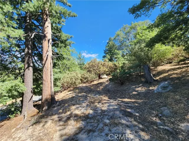 203 Canyon View, Crestline, CA 92325