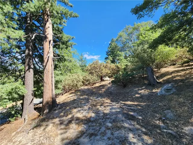 203 Canyon View, Crestline, CA 92325