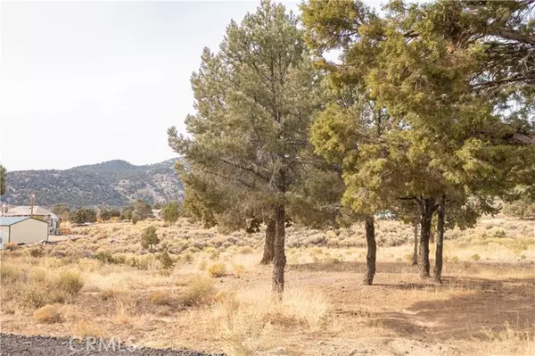 Big Bear City, CA 92314,1872 Golden Rod