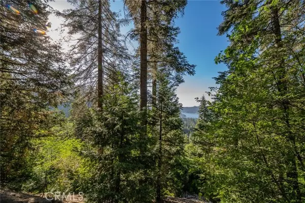 Lake Arrowhead, CA 92385,716 Blue Ridge