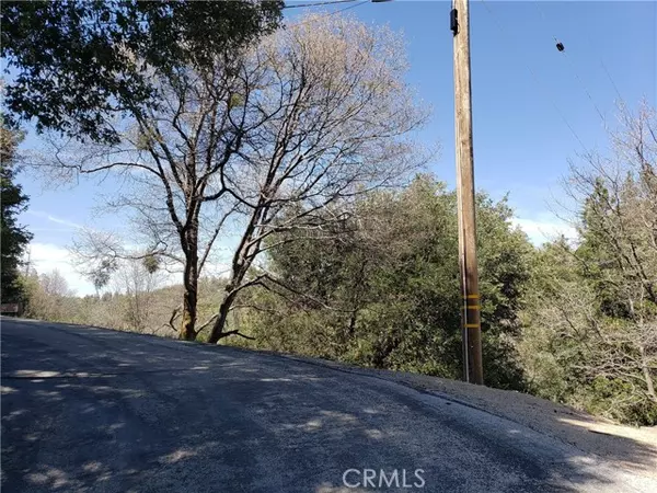 Crestline, CA 92325,0 Edelweiss