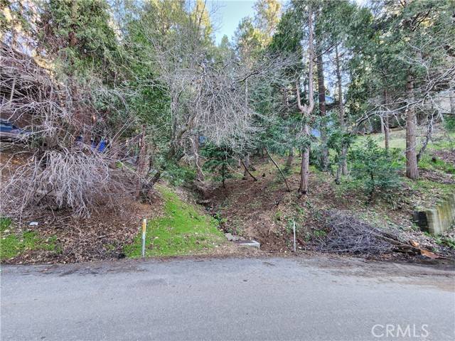 24459 Horst, Crestline, CA 92325