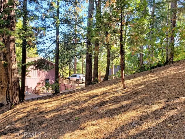 Lake Arrowhead, CA 92352,330 Castle Gate