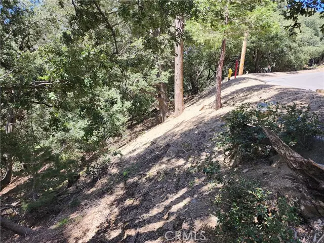 Crestline, CA 92325,0 Valle