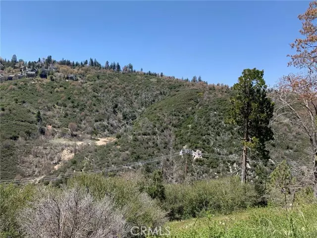 Lake Arrowhead, CA 92352,252 Brentwood Dr