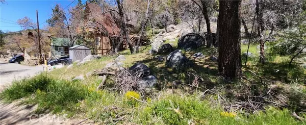 Arrowbear, CA 92382,0 Deer