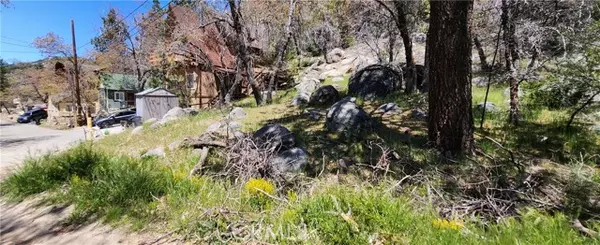 Arrowbear, CA 92382,0 Deer