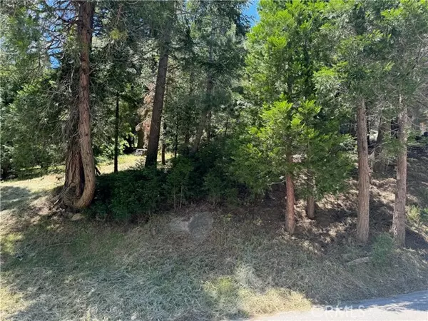 Crestline, CA 92325,0 Albrun