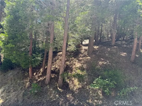 Crestline, CA 92325,0 Albrun