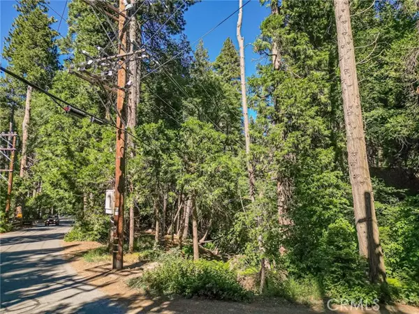 Lake Arrowhead, CA 92352,0 Cottage Grove