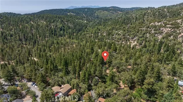 32752 Tulip Lane, Arrowbear, CA 92382