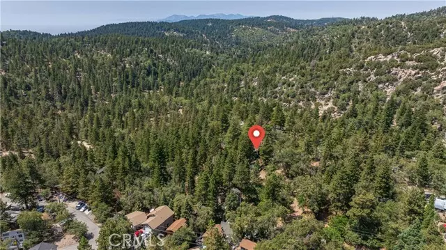 Arrowbear, CA 92382,32752 Tulip Lane