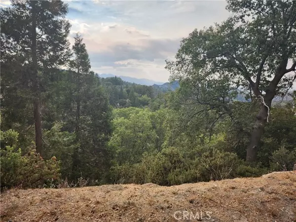 Lake Arrowhead, CA 92352,0 Evergreen