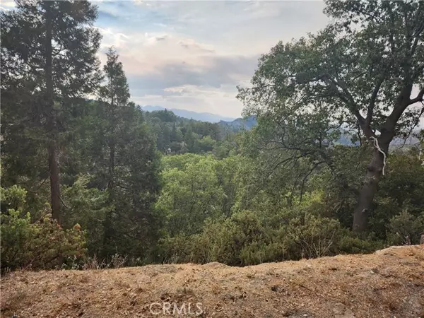 Lake Arrowhead, CA 92352,0 Evergreen