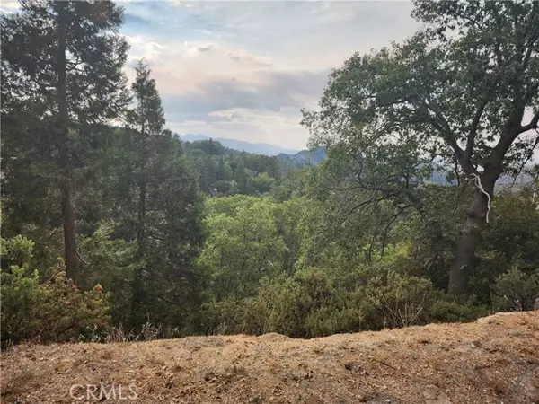 Lake Arrowhead, CA 92352,0 Evergreen