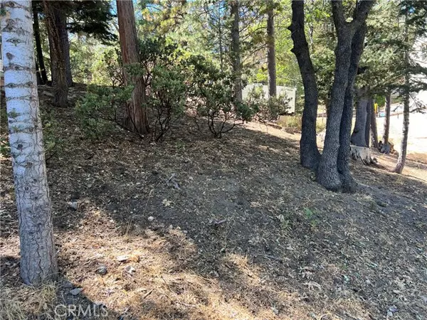 Lake Arrowhead, CA 92352,0 Auburn