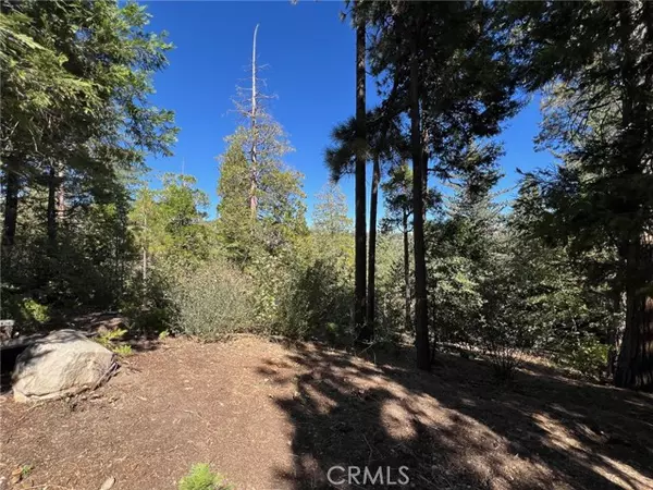 27528 North Bay Road, Lake Arrowhead, CA 92352