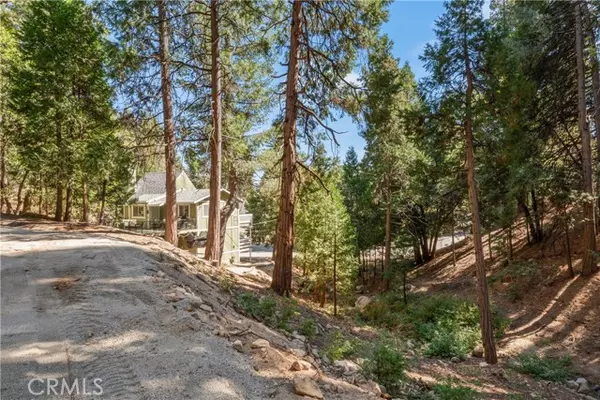 Lake Arrowhead, CA 92352,0 Thunderbird