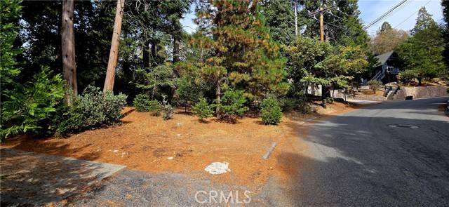 308 Pioneer, Lake Arrowhead, CA 92317