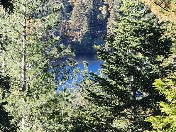 Crestline, CA 92325,800 Arbula