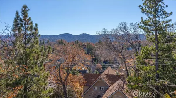 Lake Arrowhead, CA 92352,28204 Arbon Lane