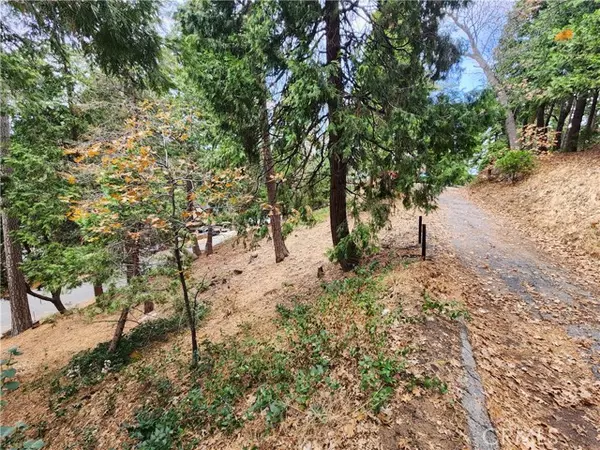 Crestline, CA 92325,0 Horst