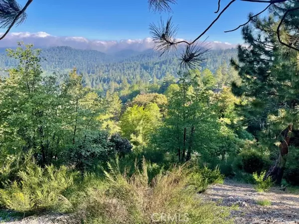 Lake Arrowhead, CA 92352,0 Black Oaks