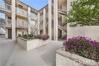 El Segundo, CA 90245,950 Virginia Street #203