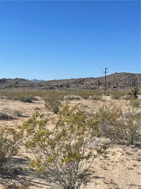 Joshua Tree, CA 92252,65282 Sonora