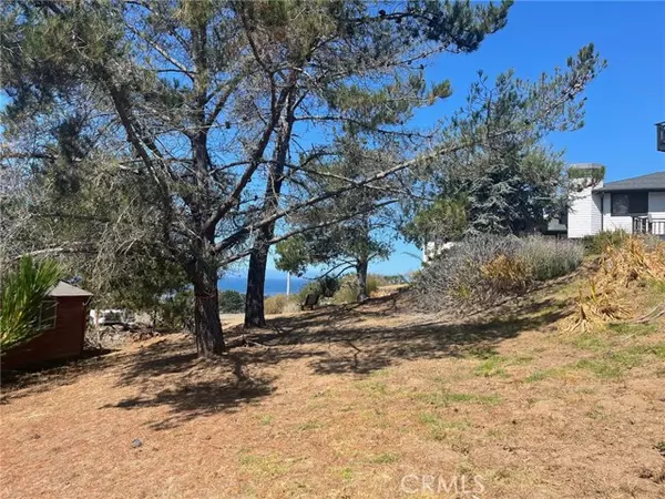 Cambria, CA 93428,0 Chelsea