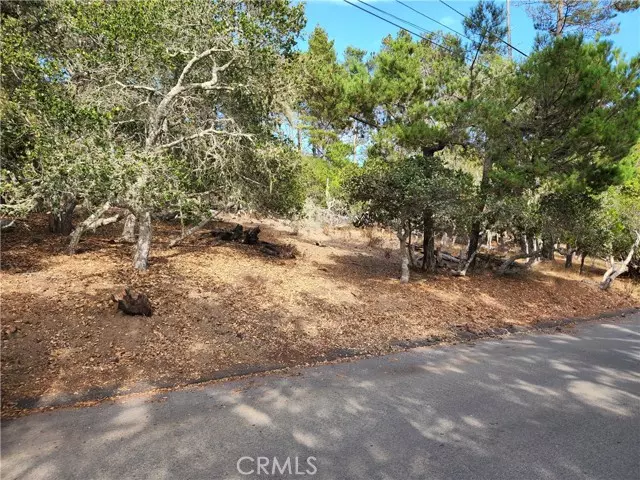 Cambria, CA 93428,0 Norwich