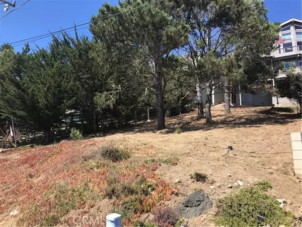 Cambria, CA 93428,0 Canterbury