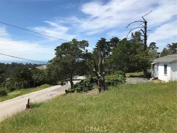 Cambria, CA 93428,0 Richard