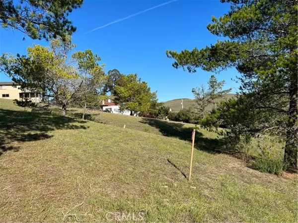 Cambria, CA 93428,0 Linden