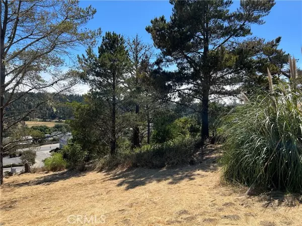 Cambria, CA 93428,4925 Grove