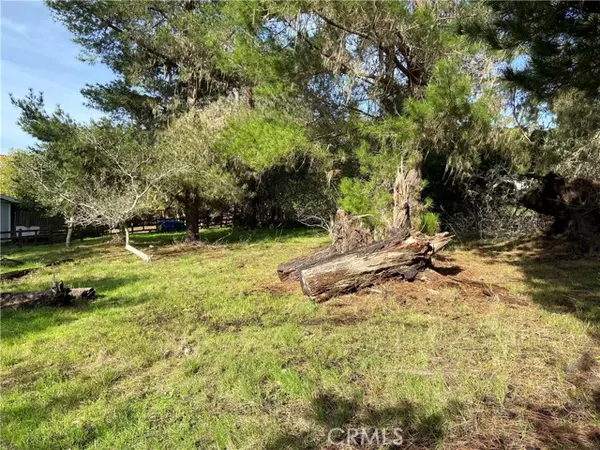 Cambria, CA 93428,0 Kenneth