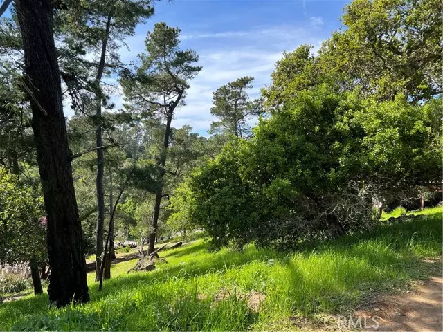 Cambria, CA 93428,1617 Pierce