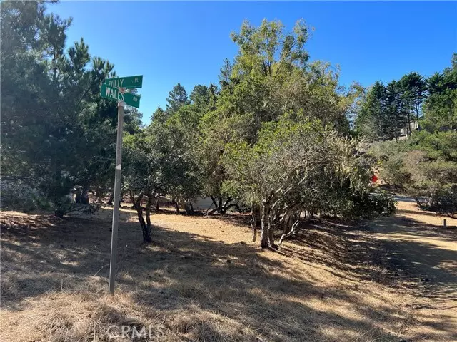 Cambria, CA 93428,2080 Wales