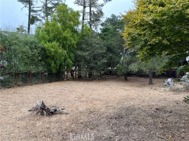 0 Pineridge, Cambria, CA 93428