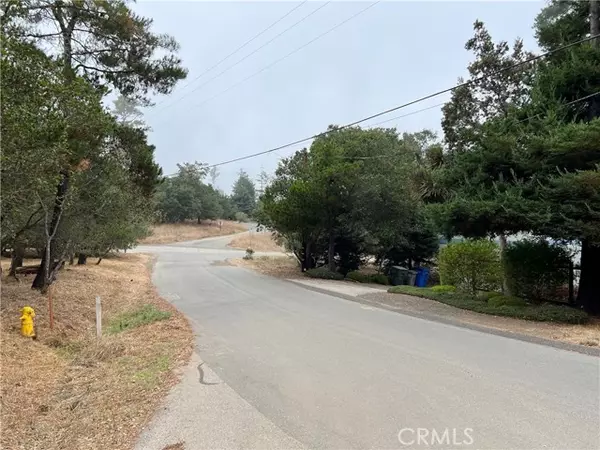 Cambria, CA 93428,0 Pineridge