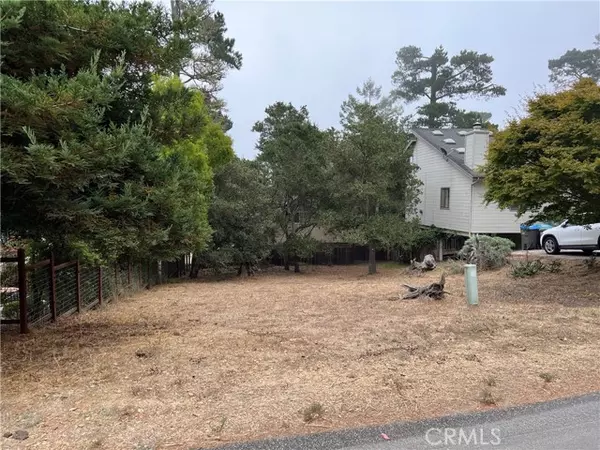 Cambria, CA 93428,0 Pineridge