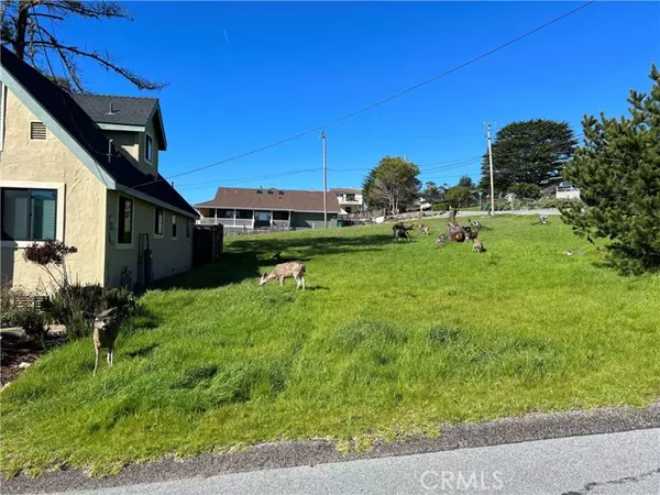 Cambria, CA 93428,399 Fallbrook