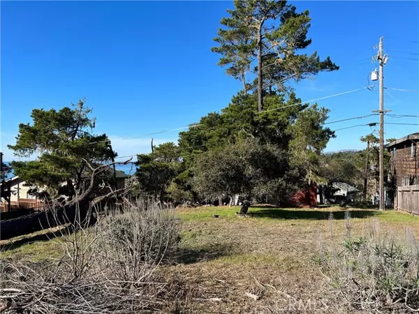 Cambria, CA 93428,0 Cambridge