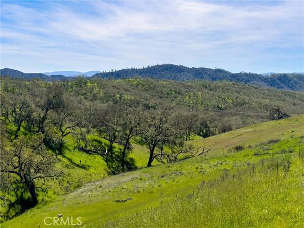 Paso Robles, CA 93446,2186 Holly