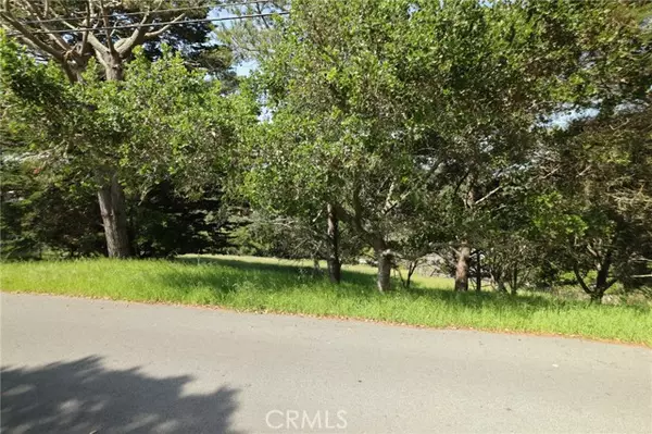 Cambria, CA 93428,0 Richard